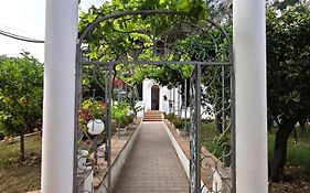 Casa Ferraro
